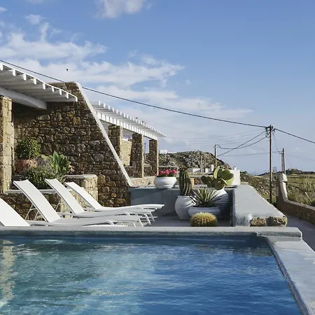 Ficus Mykonos Villa *