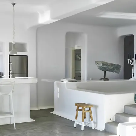 Villa Ficus Mykonos